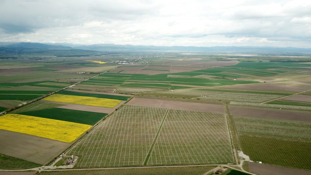 Vedere aeriană asupra livezii din Bucovina
